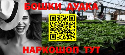 PSILOCYBIN Кандалакша